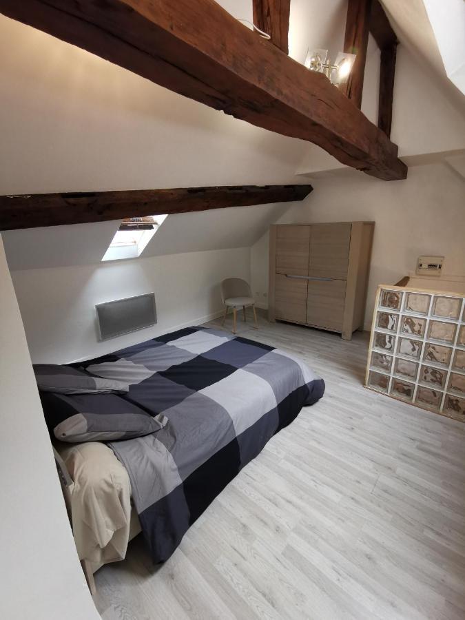 Appartement Hyper Centre Au Bord De Loire Orleans Luaran gambar